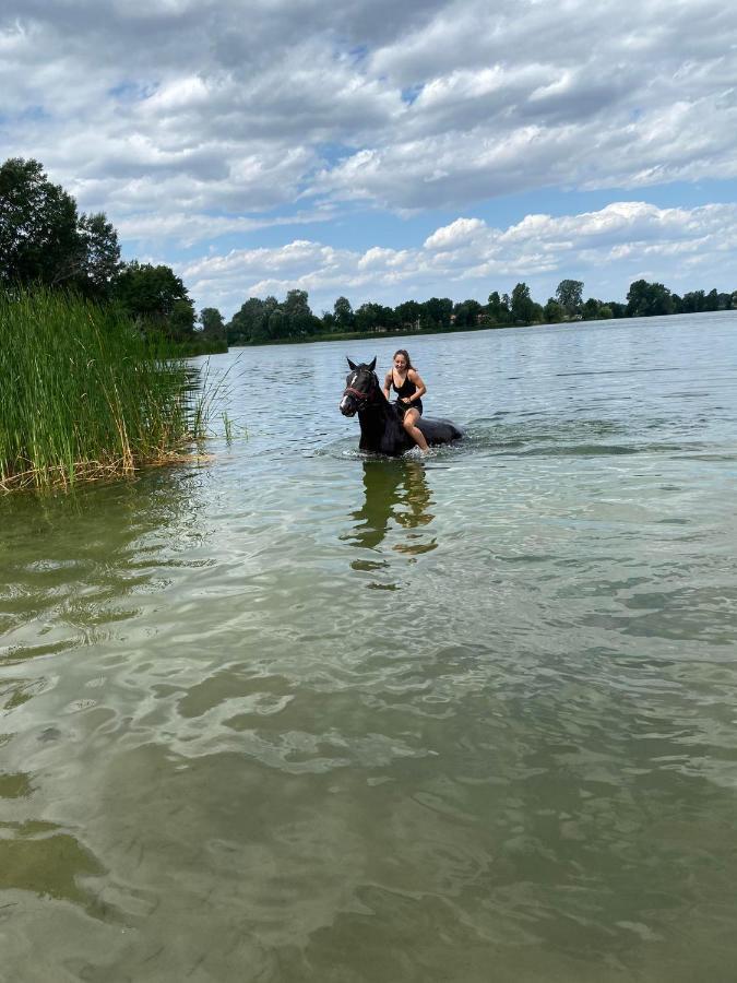 Przystanek Las Gąsawa Zewnętrze zdjęcie